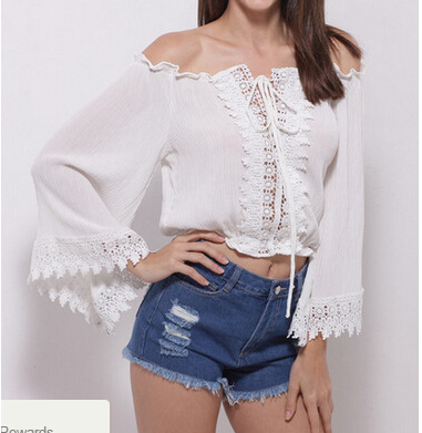 Crochet Lace Off-the-shoulder Long Flare-sleeved Cropped Top